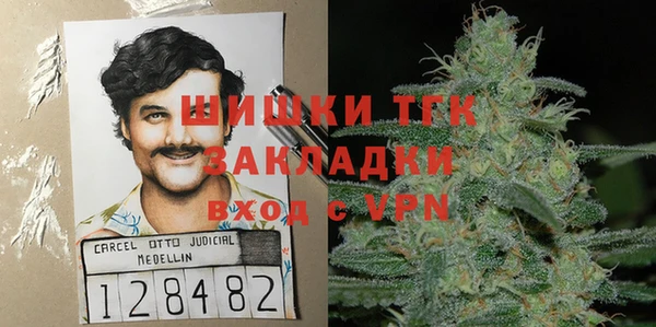 соль ск Белокуриха